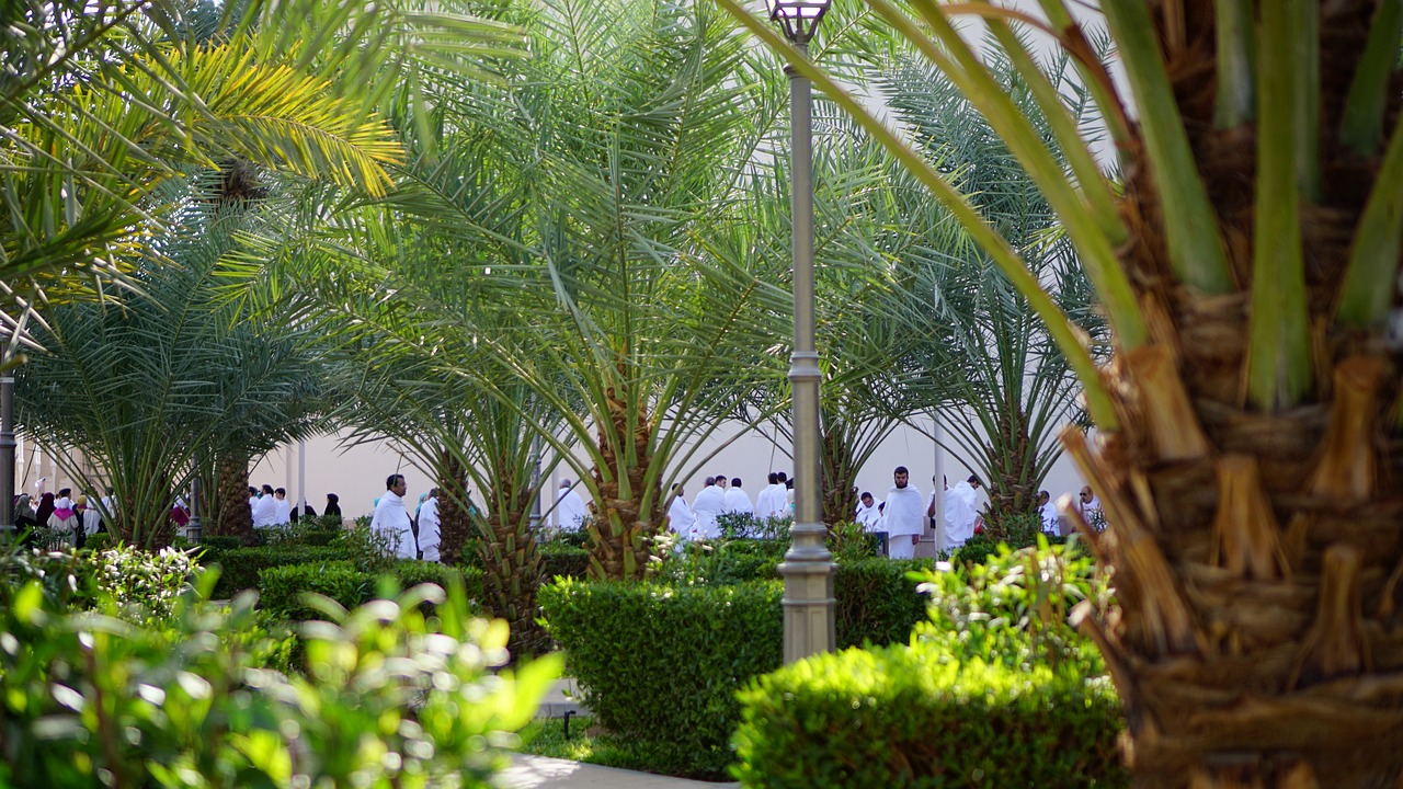 Ilustrasi Kampung Haji - FNA